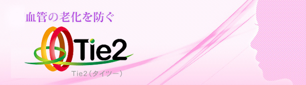 血管の老化を防ぐTie2(タイツー)