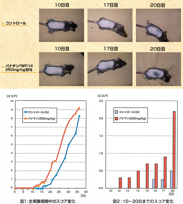 CH3マウスのよる毛髪に関する実験データ