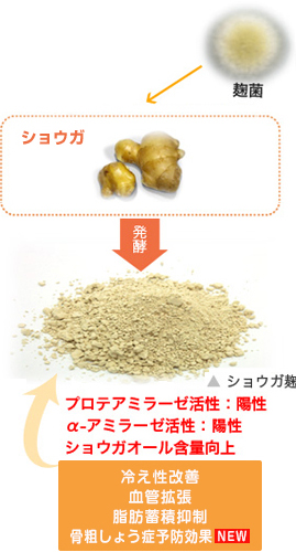 「ショウガ麹」をはじめ、数々の機能性素材を開発するヤヱガキ醗酵技研