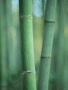 ¤‹@‚ÌÀÈ-‘æ1‰ñ•sŽv‹c‚È’|‚̘b1
