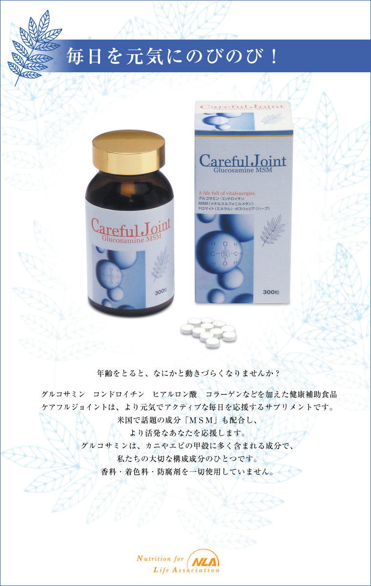 ������ҡ����̡����롦����,�����ե른�祤��ȡ����륳���ߥ�MSM