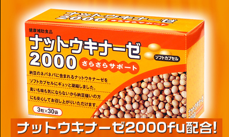 ������ҡ����̡����롦���� �ʥåȥ����ʡ���2000