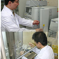 ������ҡ����̡����롦���� �ʼ�����