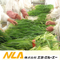 ������ҡ����̡����롦���� ��������
