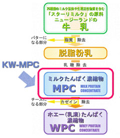 KW-MPC