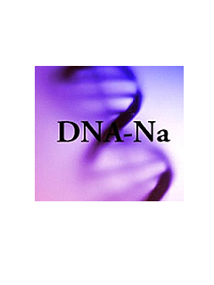 DNA-Na（核酸）　株式会社エル・エスコーポレーション