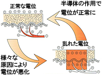 ����������ȾƳ�Τκ���