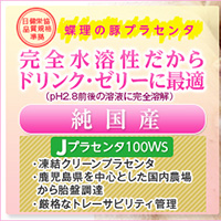 ĳ��������ҡ�J�ץ饻��100WS