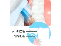 Ķ�˺��Ӥȥ��å��ù��ӤΡ֥��֥롡���åȥ֥饷��