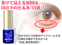 ����饤�ճ������ �ӥ塼�ʡ������Хå���ե�