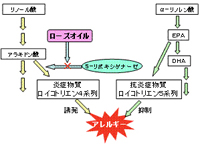 ローズオイルの抗炎症作用