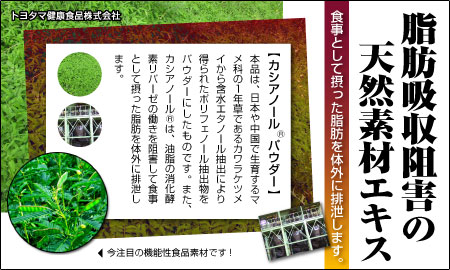 �ȥ西�޷򹯿��ʳ������ �������Ρ���ѥ�����