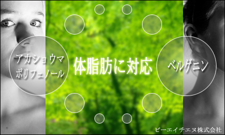 �ӡ����������̳������ �������祦�ޥ�������