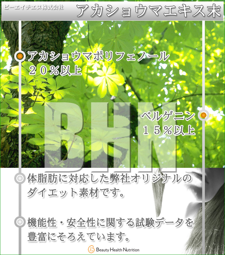 �ӡ����������̳������,�������祦�ޥ�������