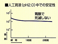 胃酸で死滅せず、生きたまま腸まで届きます