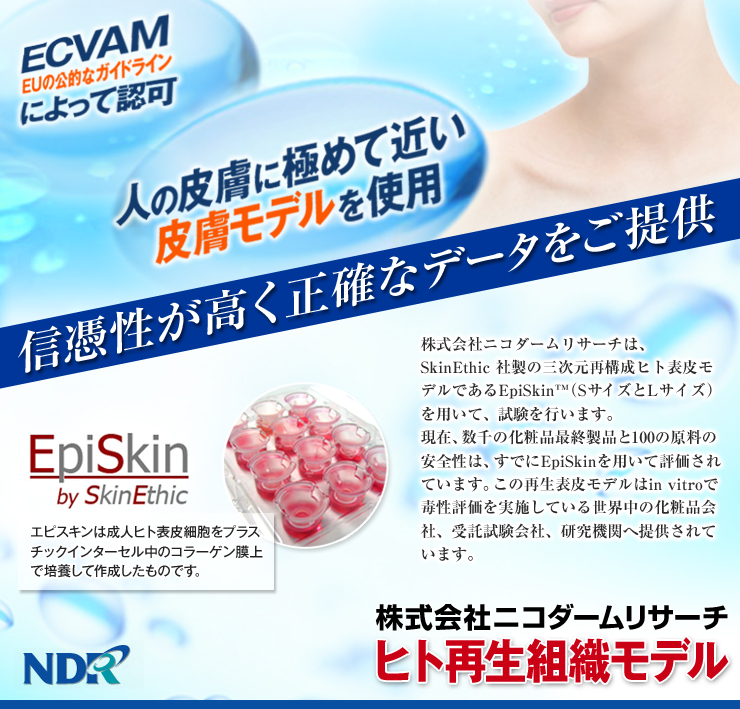 ������ҥ˥�������ꥵ����,��������ͭ������Υ��󥵥륿���