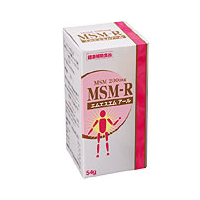 ������ҥ��ӥǥ󥹥��󥿡� MSM-R