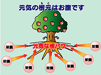 元気のもとはお腹です