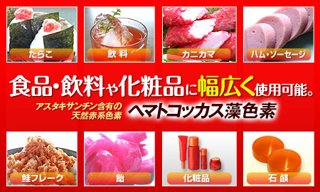 �Х��������˥å�������� ���������������