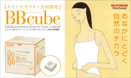 ����� �䥯��� �ͥ����ȥ��ơ��� ������� BBcube(90����) 