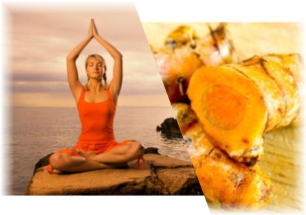 �Х��������ƥ��֥�����ѥ������� ������ޥå���&reg; ���륯�ߥΥ��ɣ�����