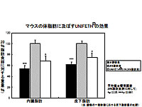 マウスの体脂肪に及ぼすUNIFETH®の効果