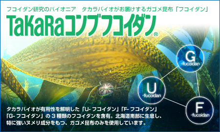 ������Х���������� TaKaRa����֥ե�������