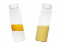 一般のCoQ10とシクロカプセル化CoQ10の分散性の違い