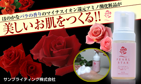 ����֥饤�ƥ��󥰳������ �ѡ��륹�����ե����ॽ����