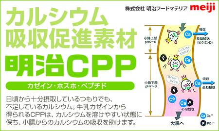 株式会社明治フードマテリア 明治ＣＰＰ（カゼインホスホペプチド）