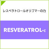 ������ҥإ륷���ʥ� �쥹�٥�ȥ�����-��
