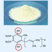 ������� ORTIC�ʥ���ƥ��å��� �Ը���CoQ10