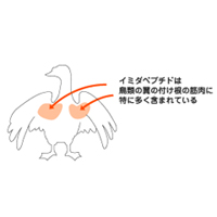 ����ͽ�ɰ���������� ���ߥ������른�ڥץ�����ʬ