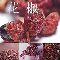 株式会社ロベルテ　花椒（カショウ） / Sichuan Pepper CO2 Extract (シチュアンペッパー）