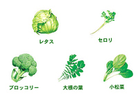 8種類もの青野菜と2種類の果物で不足しがちな野菜がたっぷり