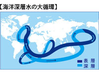 海洋深層水の大循環図