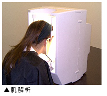 肌解析