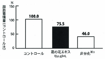 脂肪蓄積抑制作用の試験
