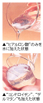 “ヒアルロン酸”のみを水に加えた状態と“コンドロイチン”、“デルマタン”も加えた状態