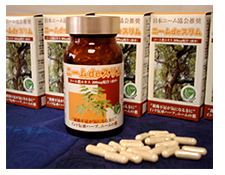 健康食品「ニームdeスリム」