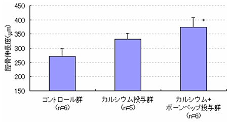 「ボーンペップとカルシウムの共投与により、骨成長を促すことを確認」図