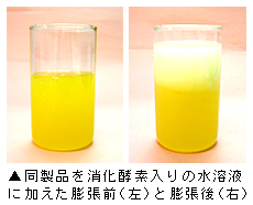 同製品を消化酵素入りの水溶液に加えた膨張前と膨張後 写真