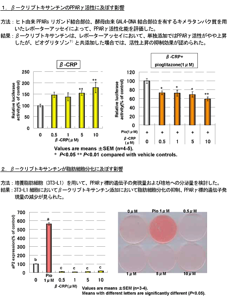 「β-クリプトキサンチン ヒト臨床試験 資料」写真