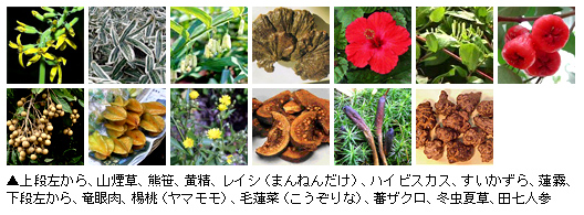 「山煙草、熊笹、黄精、レイシ(まんねんだけ)、ハイビスカス、すいかずら、蓮霧、竜眼肉、楊桃(ヤマモモ)、毛蓮菜(こうぞりな)、蕃ザクロ、冬虫夏草、田七人参」写真