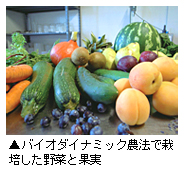 「バイオダイナミック農法で栽培した野菜と果実」写真