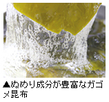 「ぬめり成分が豊富なガゴメ昆布」写真