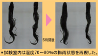 ヘアケア商品「カールコントロールミスト」実験の写真
