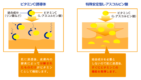 特殊安定型-アスコルビン酸のグラフ