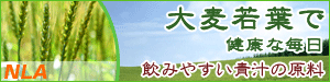 ������ҡ����̡����롦����