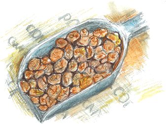 タイガーナッツ 　Tigernuts　の原料、素材